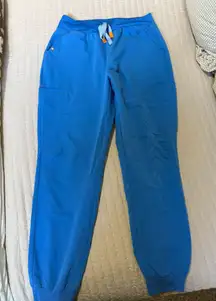 Blue Fig scrub pants jogger