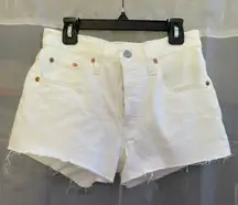 levi 501 shorts 