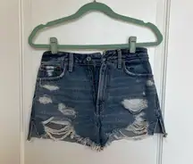 High Waisted Shorts