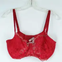 Victoria’s Secret Red Lace Dream Angels Push-Up Without Padding Bra Size 36DDD