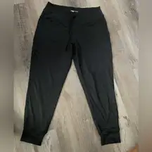 Lole grayish Jogger Pants large
