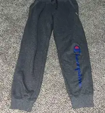 Champion Gray Sweats - S