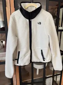 The North Face Dunraven Sherpa pullover jacket zipper Crop mock neck fleece