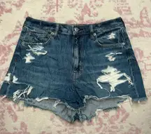 Outfitters Jean Shorts