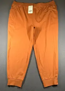 Fabletics On The Go Cold Weather Joggers Women 4X Orange Moisture Wicking NWT