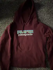 Patagonia sweatshirt