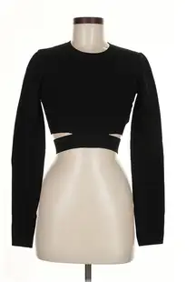 Ten by Babaton Aritzia Shirt