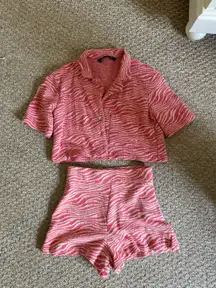 Zara pink zebra set
