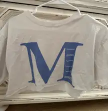 Brandy Melville Crop