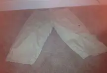 American Eagle Outfitters Women's Crop Capri Pants Bottoms Size 6 Beige