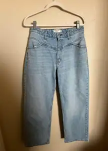 Abercrombie & Fitch Curve Love 90’s relaxed jean high rise sz 30 Short yoke