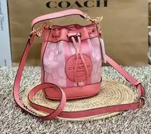 Coach Mini Dempsey Bucket Bag In Signature Jacquard With Stripe And  Patch c8322