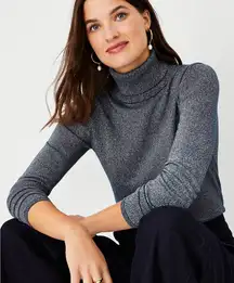 Ann Taylor Shimmer Turtleneck Navy Silver Sz XXSP