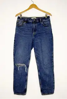 Abercrombie & Fitch Curve Love The Mom Jeans High Rise Distressed Size 29/8