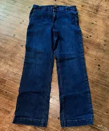 Banana Republic denim 31/12 straight leg trouser jeans