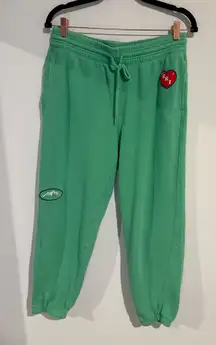 Aerie Green Jogger Sweatpants
