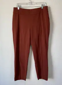 Pull On Pants Size 10