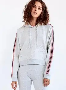 Aritzia Tna The Iconic Hoodie