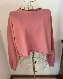 Aerie distressed crop sweatshirt XS