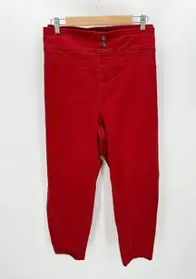 Terra & Sky Pants Women 3X 24W-26W Rust Red Pull On Button Detail Plus Size