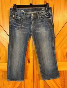 Big Star Sweet Crop Jean Capris size 26 (4112)