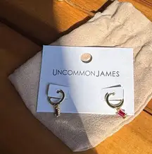 Uncommon James birthstone hoops January