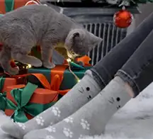 Womens Cat Socks and Matching Cat Earrings in gray/white