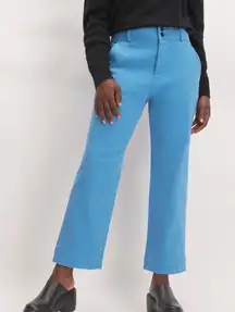 Everlane The Organic Cotton Straight Leg Heritage Blue Twill Pants