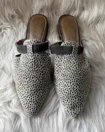 Caslon  Women's Pointed Toe Mules with Animal Print