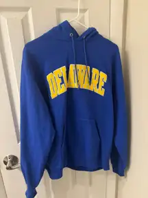 Champion UD University Of Delaware Hoodie