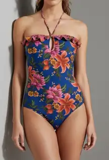 FARM RIO Summer Fruit One Piece Swim, Blue, Medium