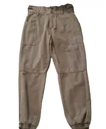 Joe's Paper bag Green Joggers Size 24