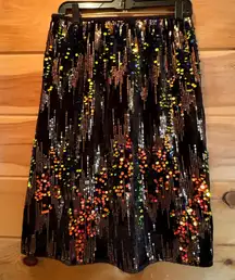 Dwirapal Elegant Multicolor Velvet and Sequin Skirt size XL NWT