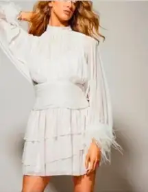 A Loves A Metallic Chiffon Feather Trim Ruched Drew’s.