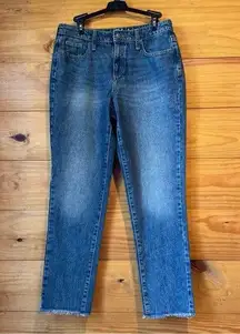 Universal Thread High Rise Straight Leg Jeans 27 NWT