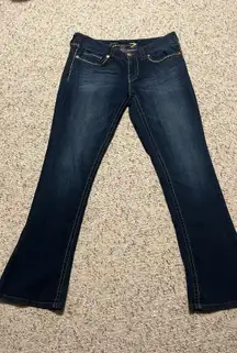 7 Jeans For All Mankind