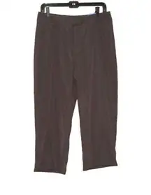 NWT Patagonia Brown Capri Pants