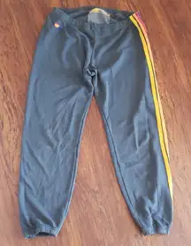 Aviator Nation Blue Chic Edgy Feminine  Trendy Retro Athleisure Pants Size M