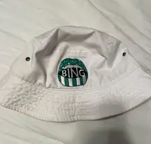 Binghamton University Hat