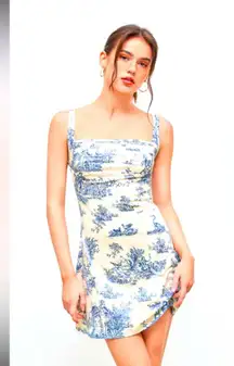 Cider Blue and White Toile De Jouy Mini Dress Size Small