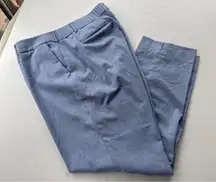 Talbots Hampshire Ankle Pant Womens 16W Light Blue Career Office Lunch Mature