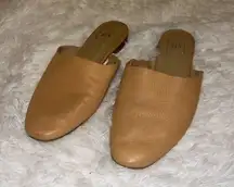 GAP Camel Color Round Toe Mules size 9.5 Women’s Flats