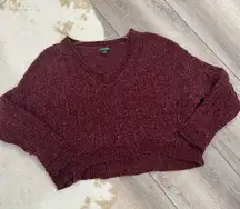 Wild Fable Maroon Chenille Cropped V-Neck Sweater