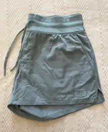 The North Face shorts 
