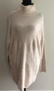 Aerie‎ Cozy Oversized Beige Turtleneck Sweater Casual & Warm Size Medium NWT