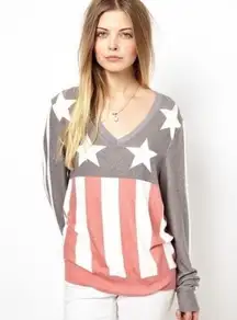 NWOT Wildfox American Flag Sweatshirt