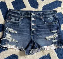 Outfitters Denim Shorts