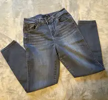 1822 Denim Dark Wash Skinny Jeans Size 6