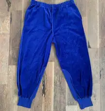 Saks Fifth Avenue Blue Velour Jogger Pants Size Medium
