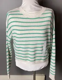 Wild fable Crop sweater